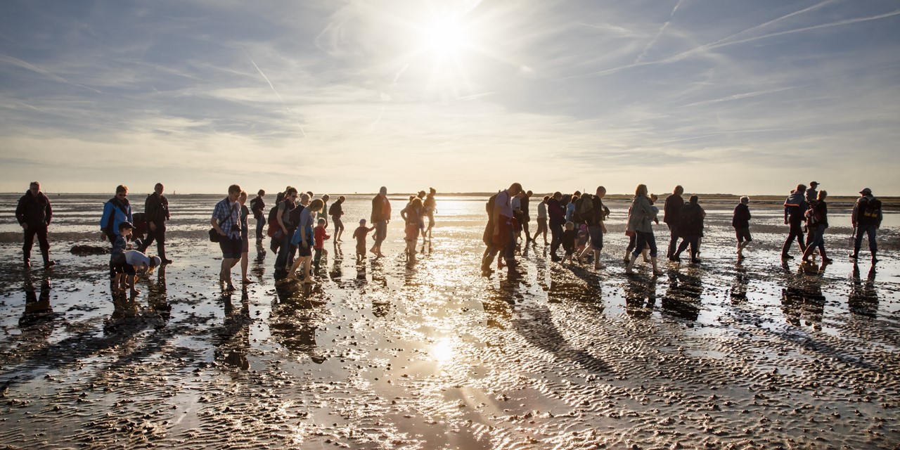 Wadlopen bij UNESCO-Werelderfgoed de Waddenzee, foto: Dietmar Scherf