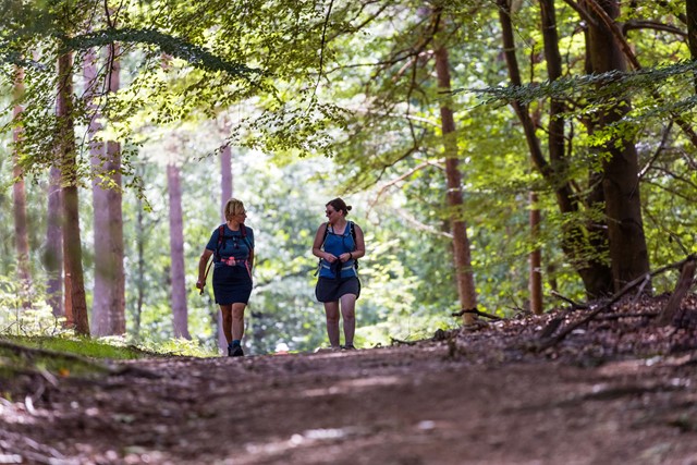 Elke maand een andere wandeltocht 5 tips