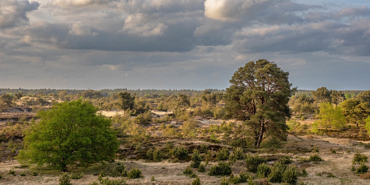 afbeelding van een weids uitzicht over het Aekingerzand.