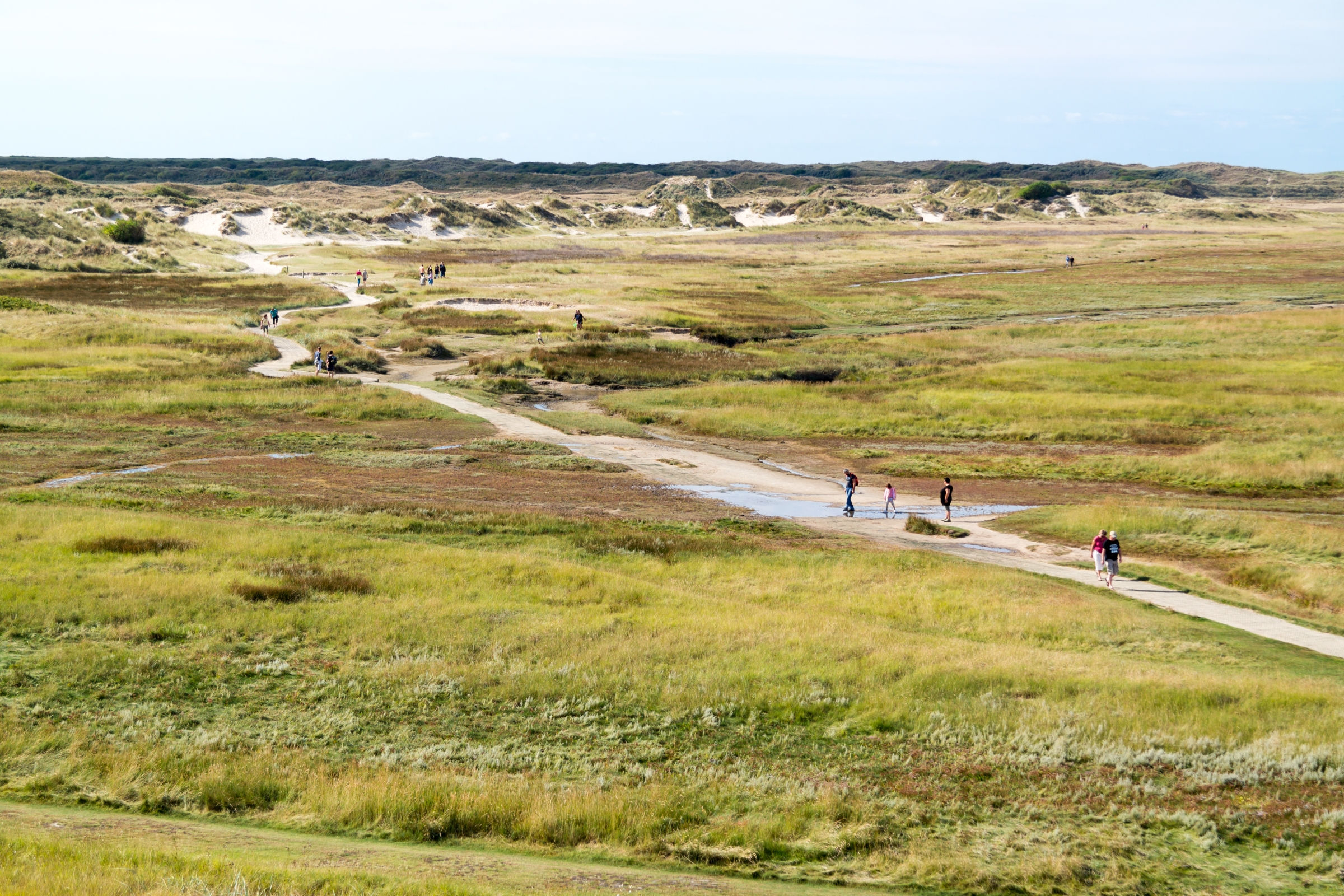 Natuurgebied De Slufter op Texel