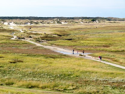 Natuurgebied De Slufter op Texel