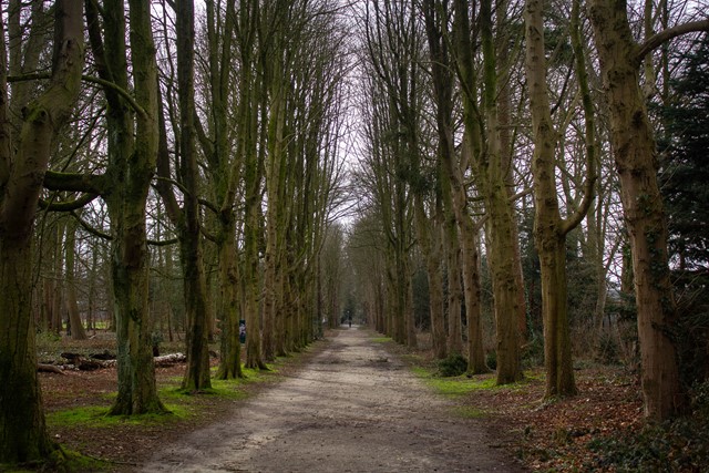 Bos en Heideroute in Heumensoord