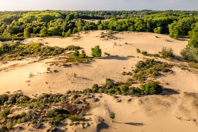 Wandelroute België, West Vlaanderen Westhoek Duinlandschap In Beweging