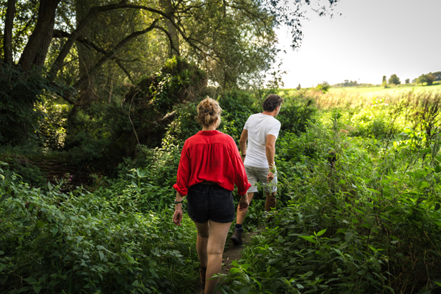 Wandelroute België, Oost Vlaanderen Den Dotter Start Aan De Molen En Klim Naar