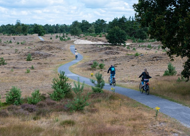 afbeelding van een fietspad op de heide.