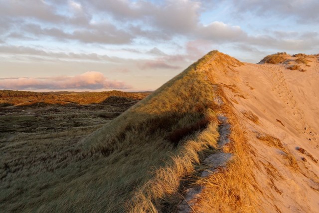 Strandwandelingen maar dan anders; Schoorlse duinen