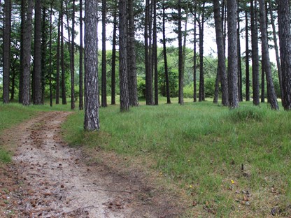 Wandelroute Zuid Kennemerland Konikroute