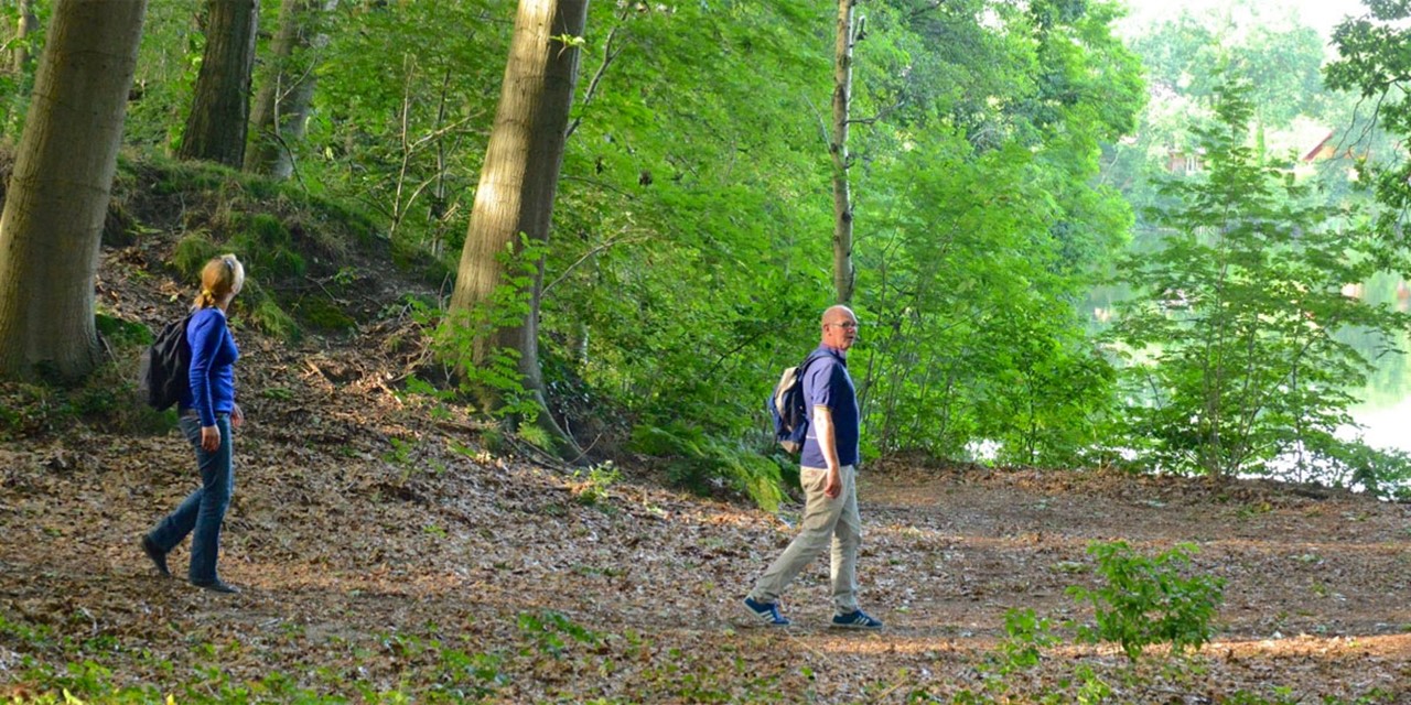 Header | 10 verrassende wandelgebieden