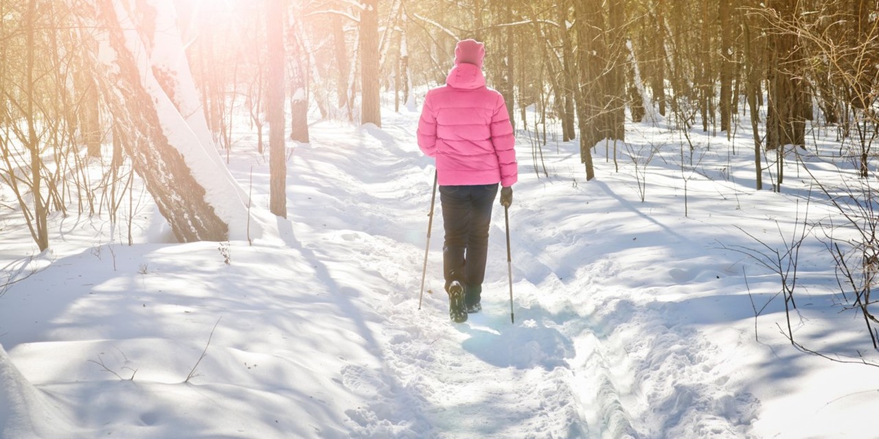 afbeelding van een wandelaar in de winter, met Nordic Walking stokken.