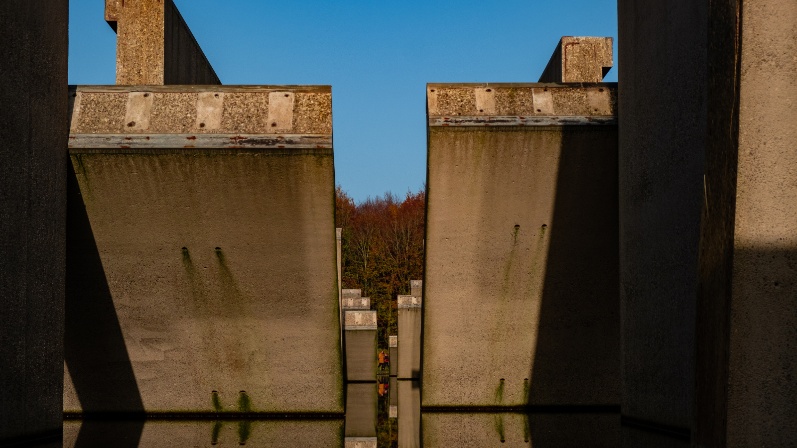 Wandelroute Waterloopbos Havenroute