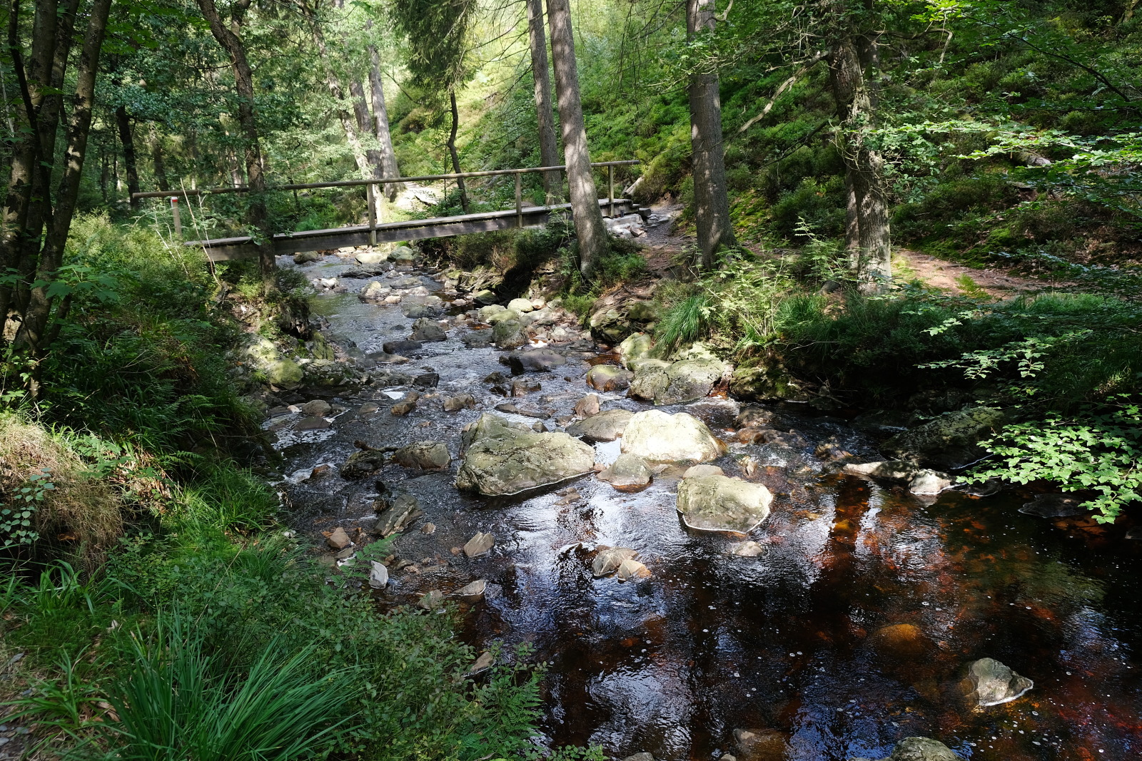 Vallée de la Hoëgne (Belgische Ardennen)