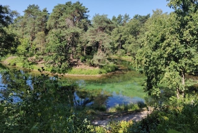 Wandelen In Austerlitz Heidestein En Bornia