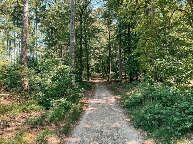 Proeflopen Zevenheuvelenhike