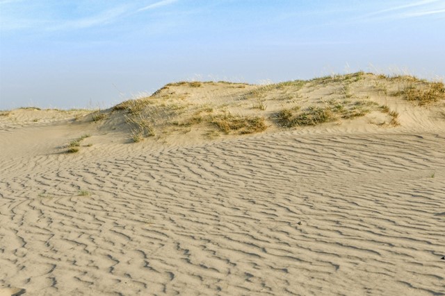 afbeelding van stuifzand op de Veluwe