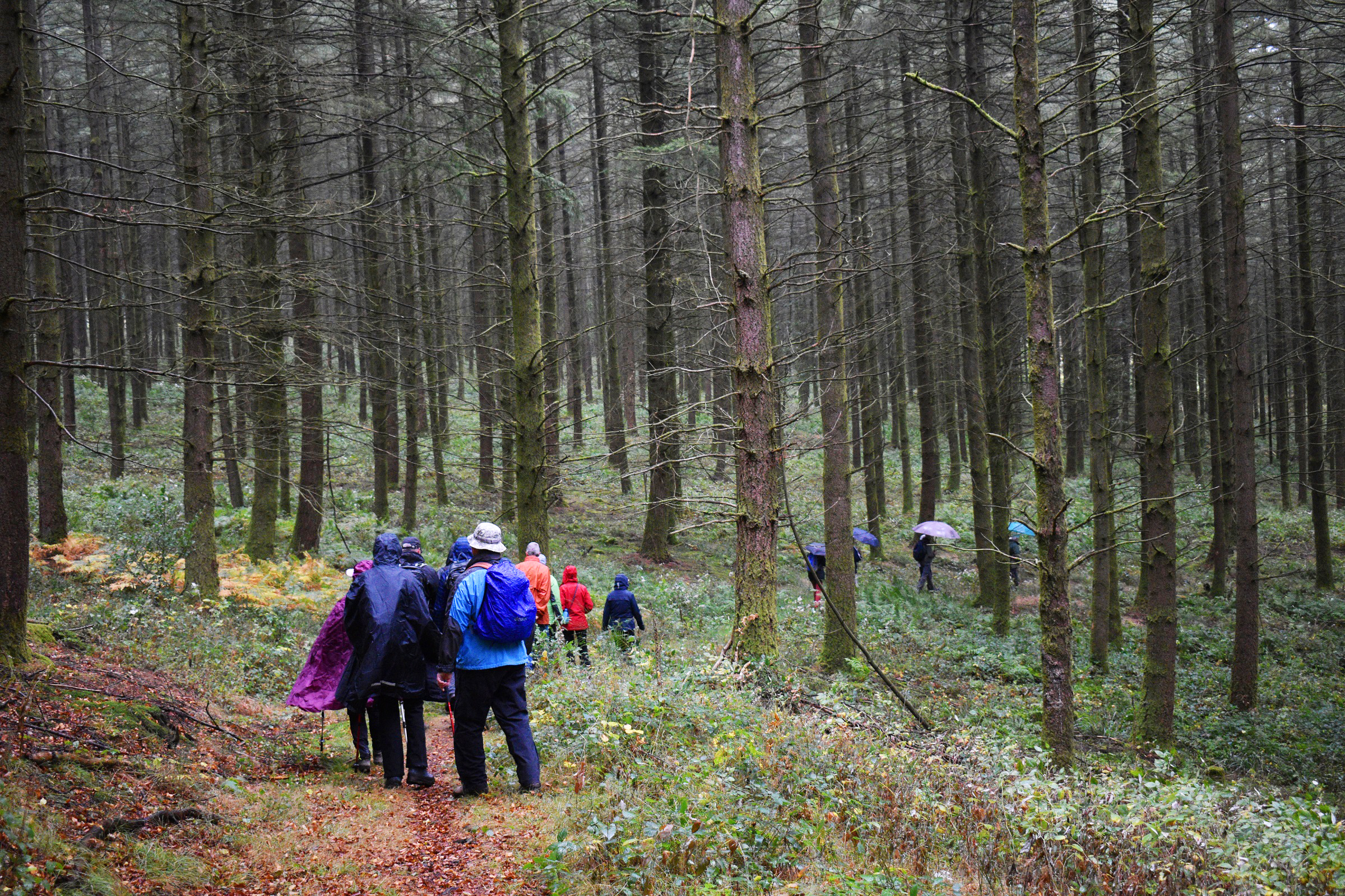 Wandelreis naar de Ardennen foto door Suze Vermeer