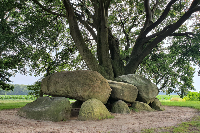 Wandelen In De Ijstijd De Hunebedden Van Borger; Hunebed D21