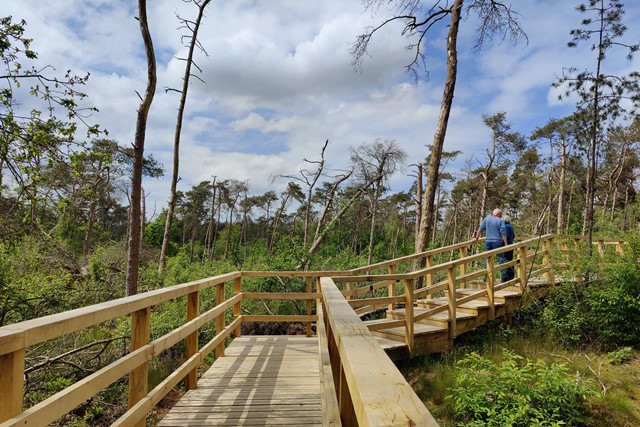 wandelaars op het stormpad in Leersum.