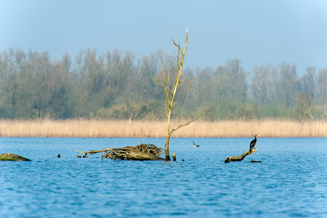 Biesboschpad Rondje Jantjesplaat Deeneplaat Landbouwgrond