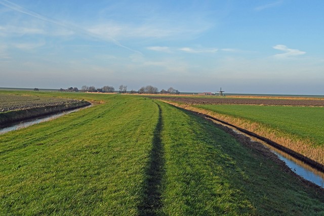 De Pingjumer Gulden Halsband bij Witmarsum