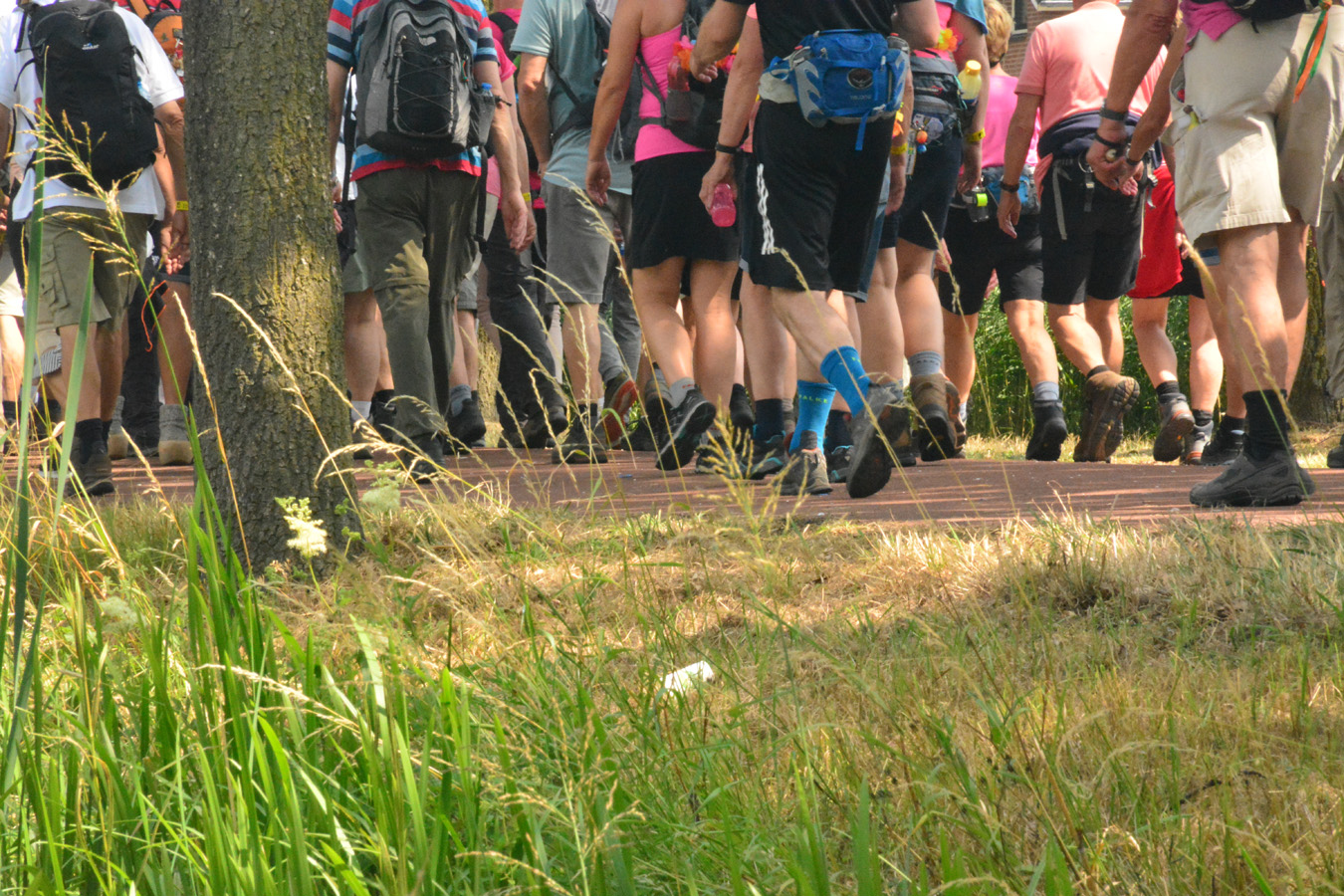 afbeelding van benen van 4Daagselopers