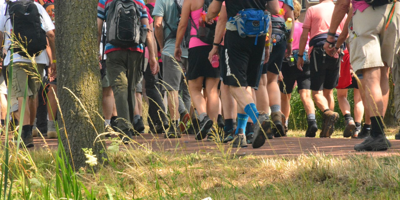 afbeelding van benen van 4Daagselopers