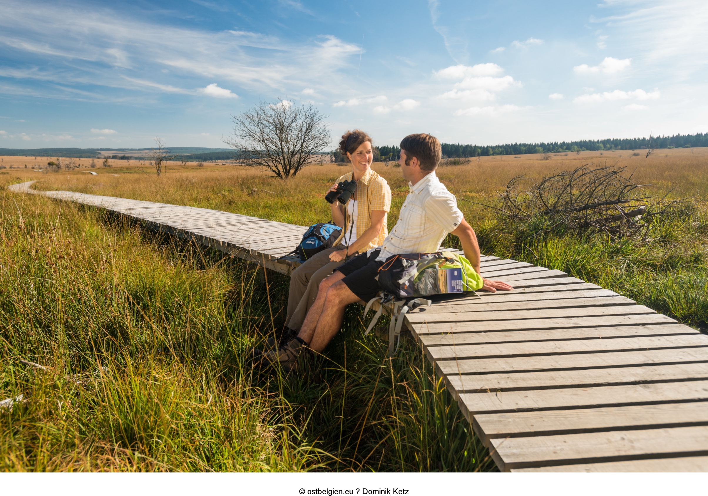 Cid2271 440754 Hautesfagnes Randonneeswallonieinsolite (C)Ostbelgien.Eu Dominikketz
