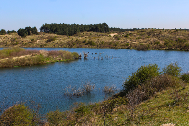 Wandelroute Zuid Kennemerland Konikroute Tankgracht