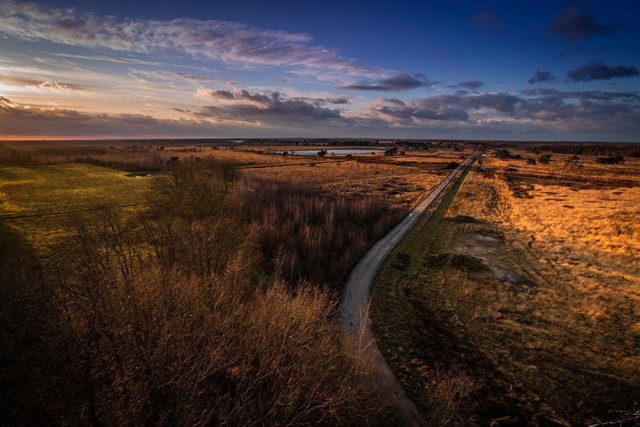 Ontdek De Groote Peel Wandelroute Paardenbegrazing Groote Peel
