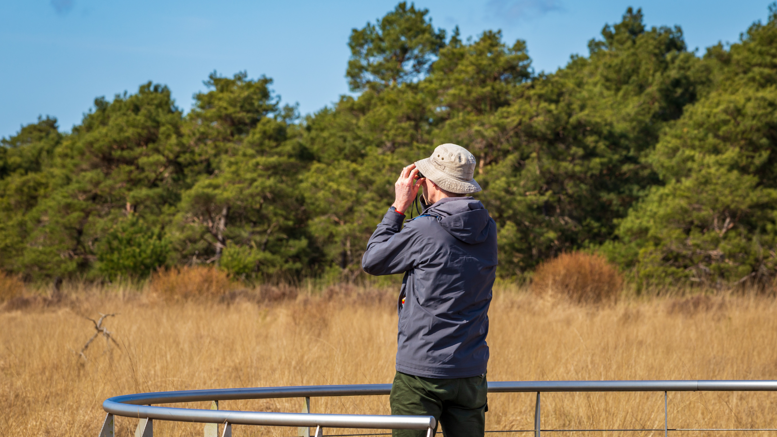 Wandelroute Fochteloërveen Uitkijktoren De Zeven