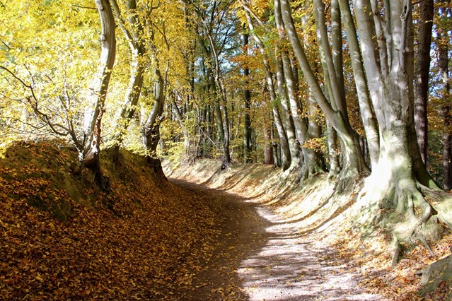Afbeelding 2 | Splinternieuwe wandelroutes voor op je bucketlist