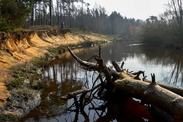 Wandelroutes In Twente 10 Tips Routetip 4 3 Uur Boerskotten Lutterzand Dinkel