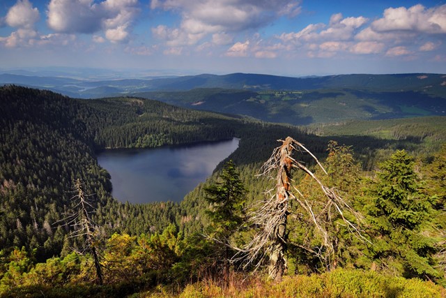 afbeelding van een uitzicht over Sumava.
