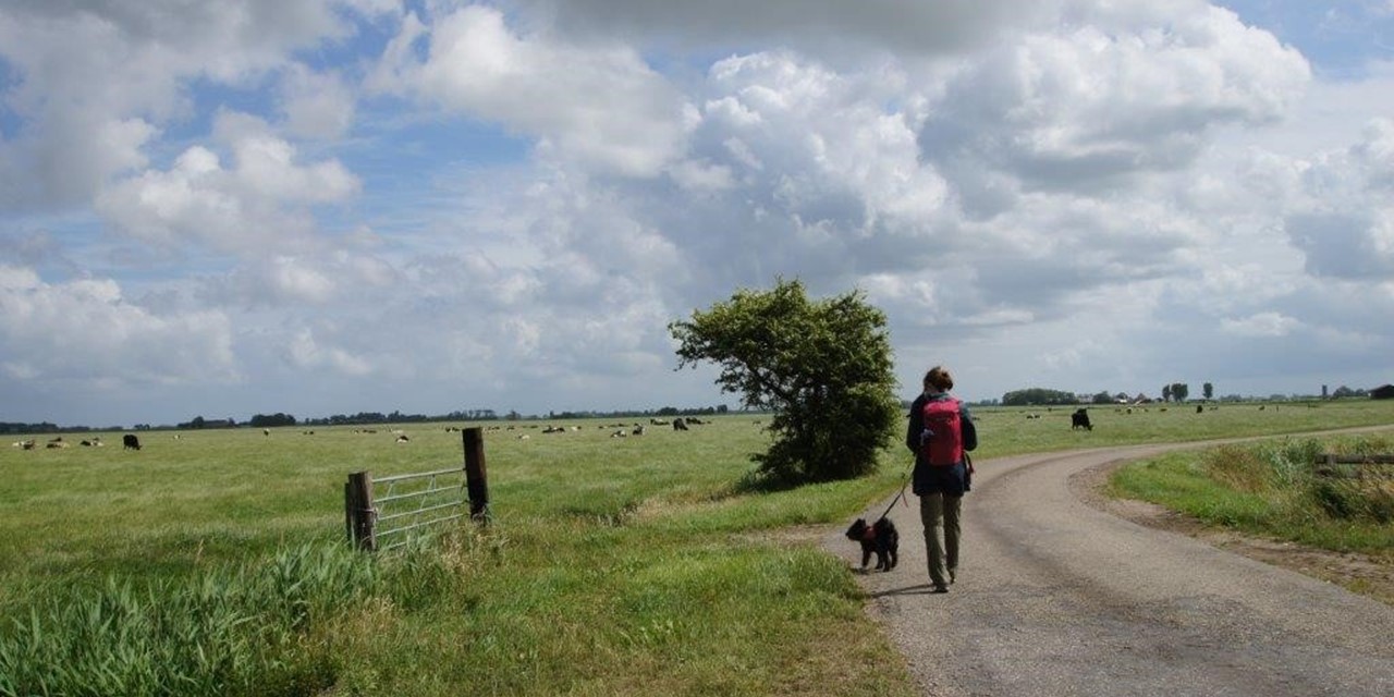Marleen Veenstra loopt samen met haar hondje Nori het Elfstedenpad