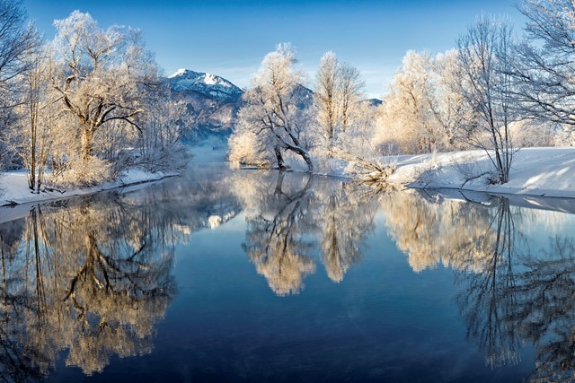 Weerspiegeling besneeuwde bomen in het water