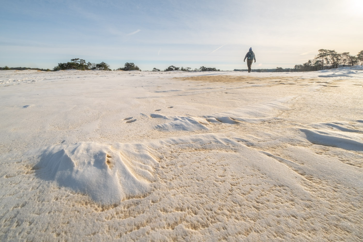 Wandelen in de IJstijd Kootwijkerzand: sneeuw, winter