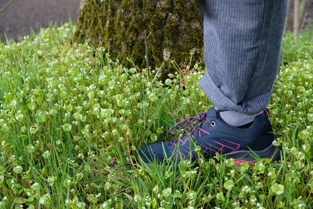 wandelschoen van Hanwag in het gras bij een boom.