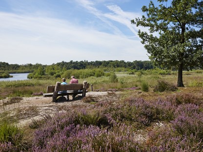 De Kampina