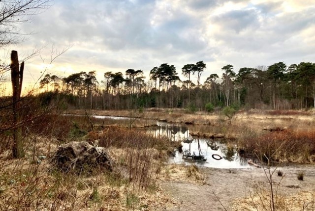 Wandelen Langs De Leukste Boscafes In Nederland Boshuis De Venkraai In Oisterwijk