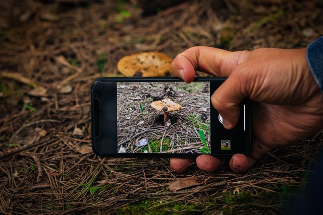 Smartphone in bos