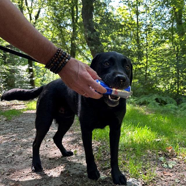 Bas met een Red Bull-blikje in zijn bek.