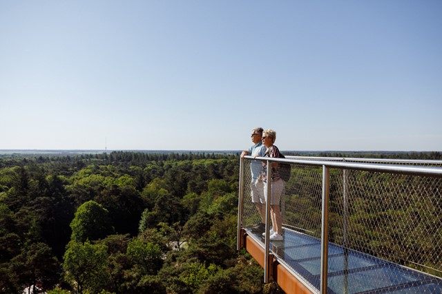 afbeeldingen van een stel dat geniet van het uitzicht vanaf de Bosbergtoren.