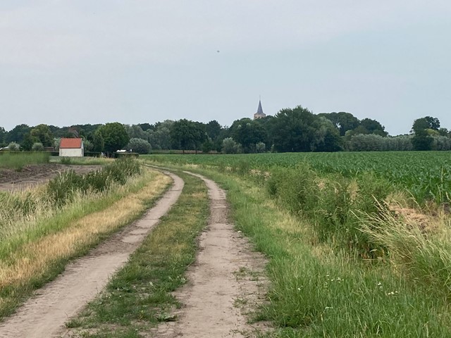 wandelen door de weilanden met de kerktoren van Wouw in zicht.