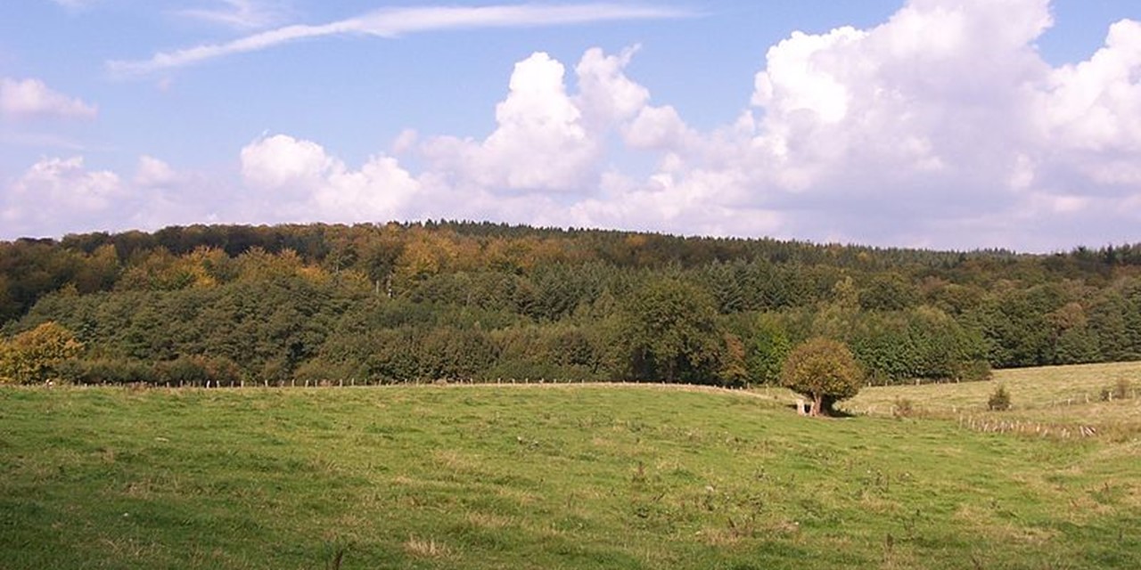 De Famenne, foto: Wikimedia