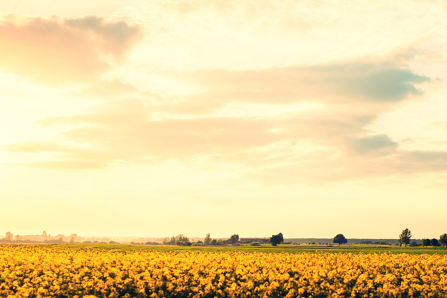 Wandelen In De Nazomer Tips En Routes Prachtige Natuur