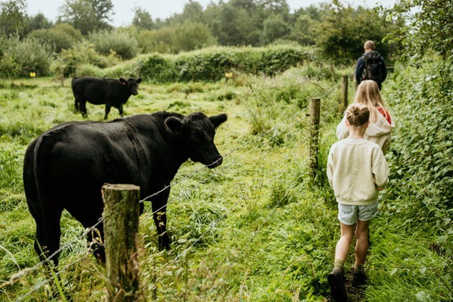 Wandelroute België, Antwerpen Ontdekkingstocht Herentals Van Begijnhof Tot Vistrap