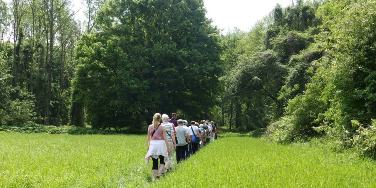 Wandelaars tijdens de Floriadewandeling, foto: Ingrid van Raalte