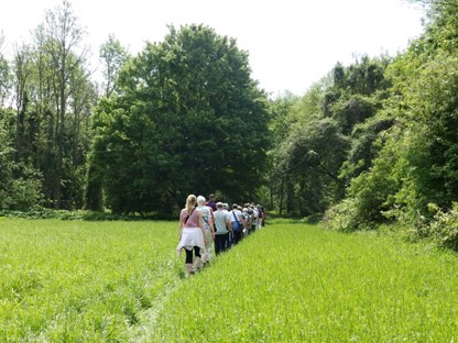 Wandelaars tijdens de Floriadewandeling, foto: Ingrid van Raalte