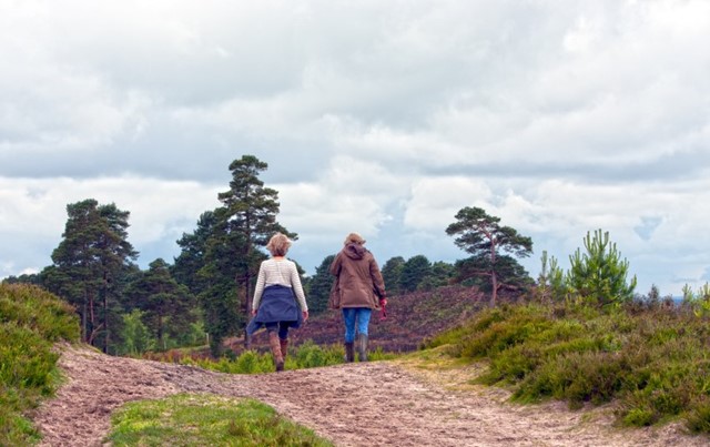 /wandeltrends2021-3