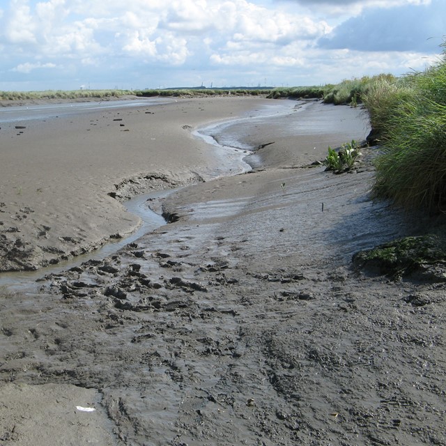 Wandelen door verdwenen dorpen in Nederland en Belgie: Saeftinghe.