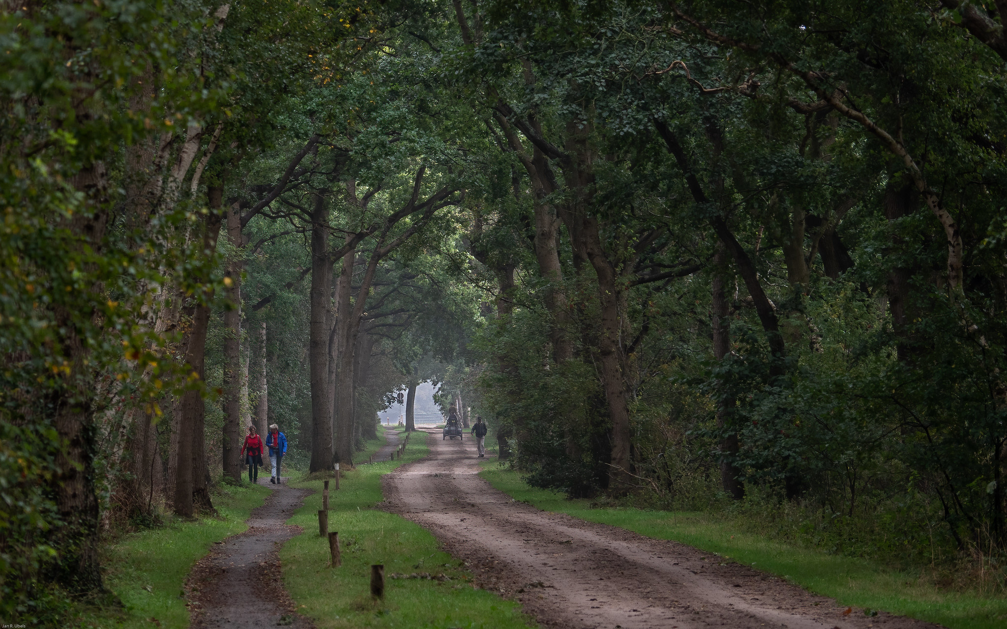 Reumavriendelijke Wandelroutes